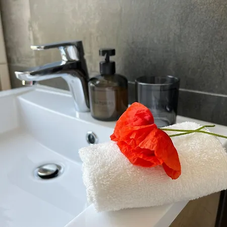 公寓 Kranich Quartier Fleesensee Og 高恩莱宾